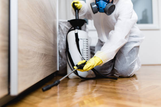 Wildlife Control Services in Oyster Bay Cove, NY