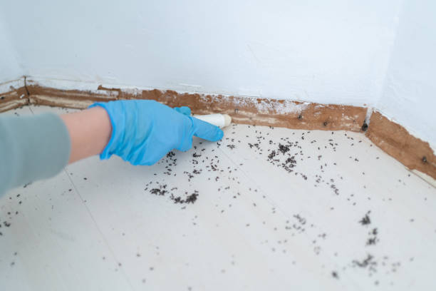  Oyster Bay Cove, NY Pest Control Pros